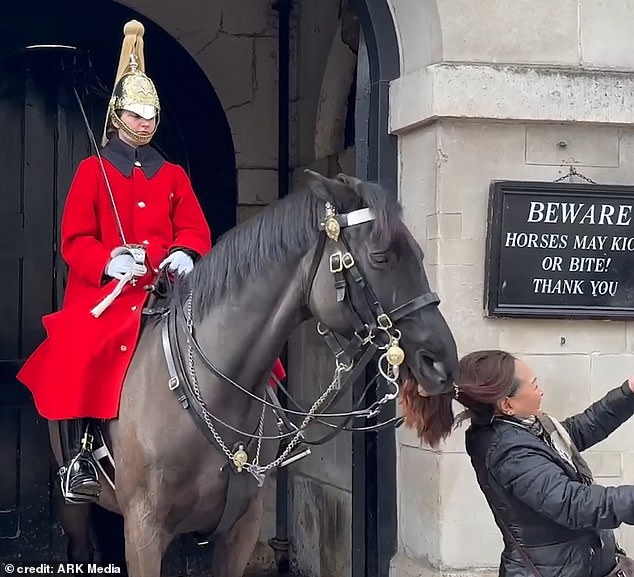 King's Guard horse headbutts a tourist and then bites a woman's ponytail as she stands too close (right in front of sig