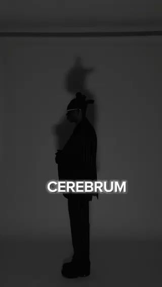 
 @itscerebrum giving us a dope cover of