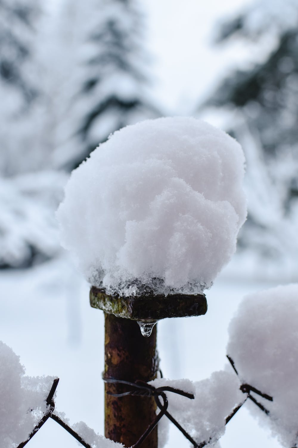 Compound Interest as a Snowball