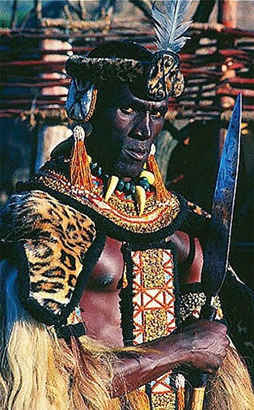 ~Shaka Zulu ~