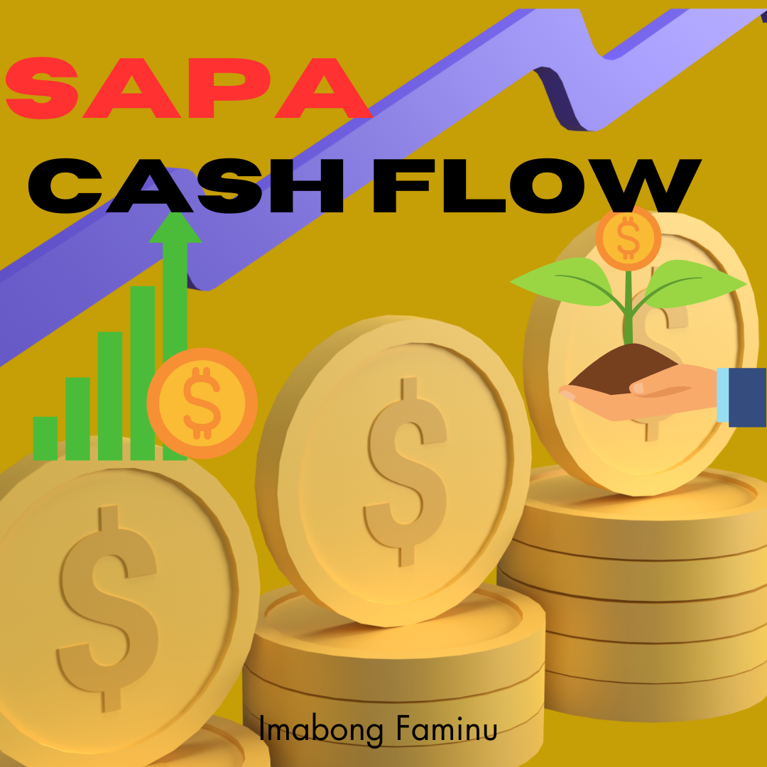 Sapa: Cash Flow