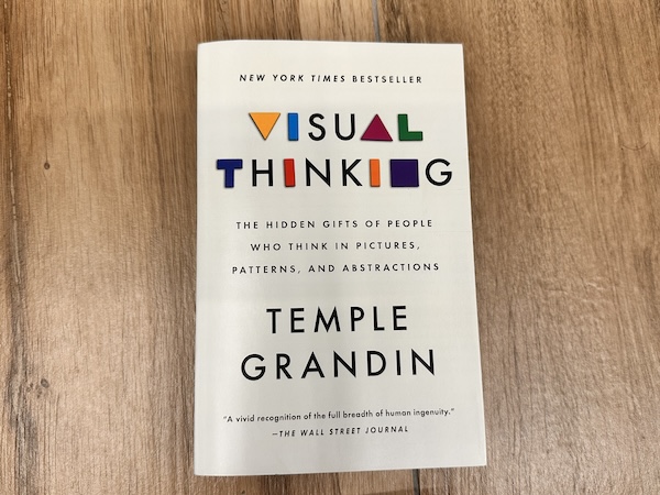 Embracing the Power of Visual Thinking 