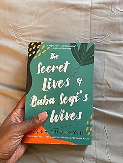 TheSecretLivesOfBabaSegisWives