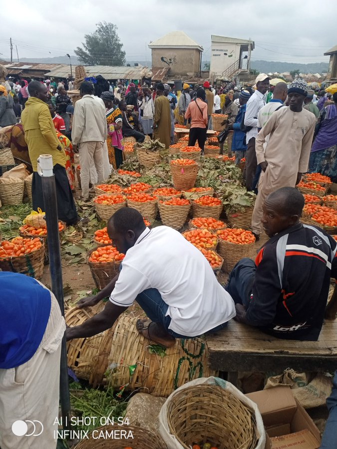 Tomato Market in Jos