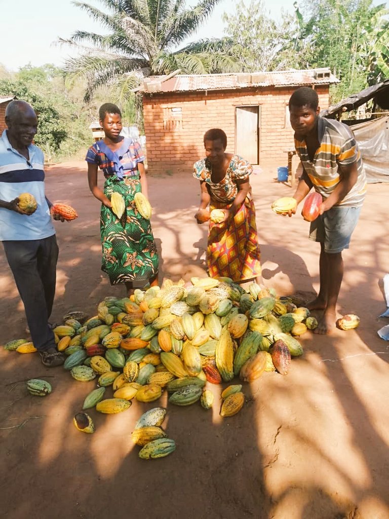 Malawi Local Business Feature