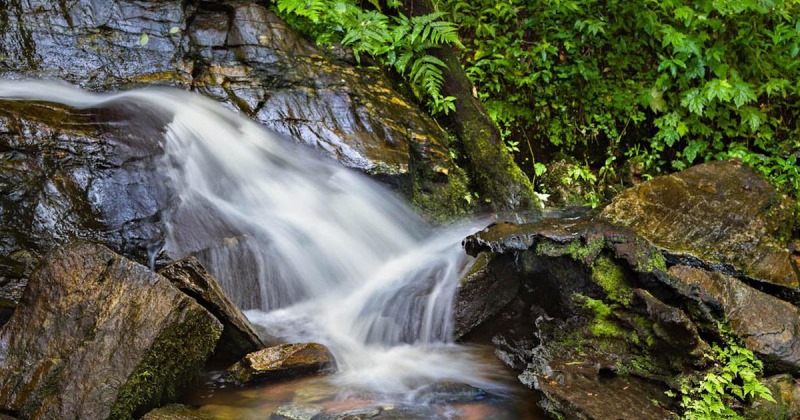 Wishful Waterfalls of Nigeria 