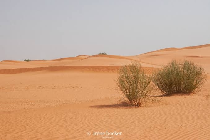 Day 3: African Deserts & Dunes