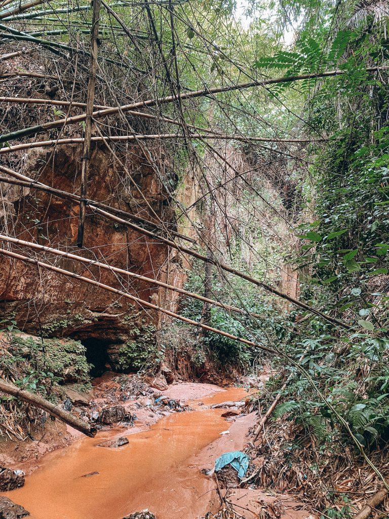 Refreshing Rain Forests of Nigeria 