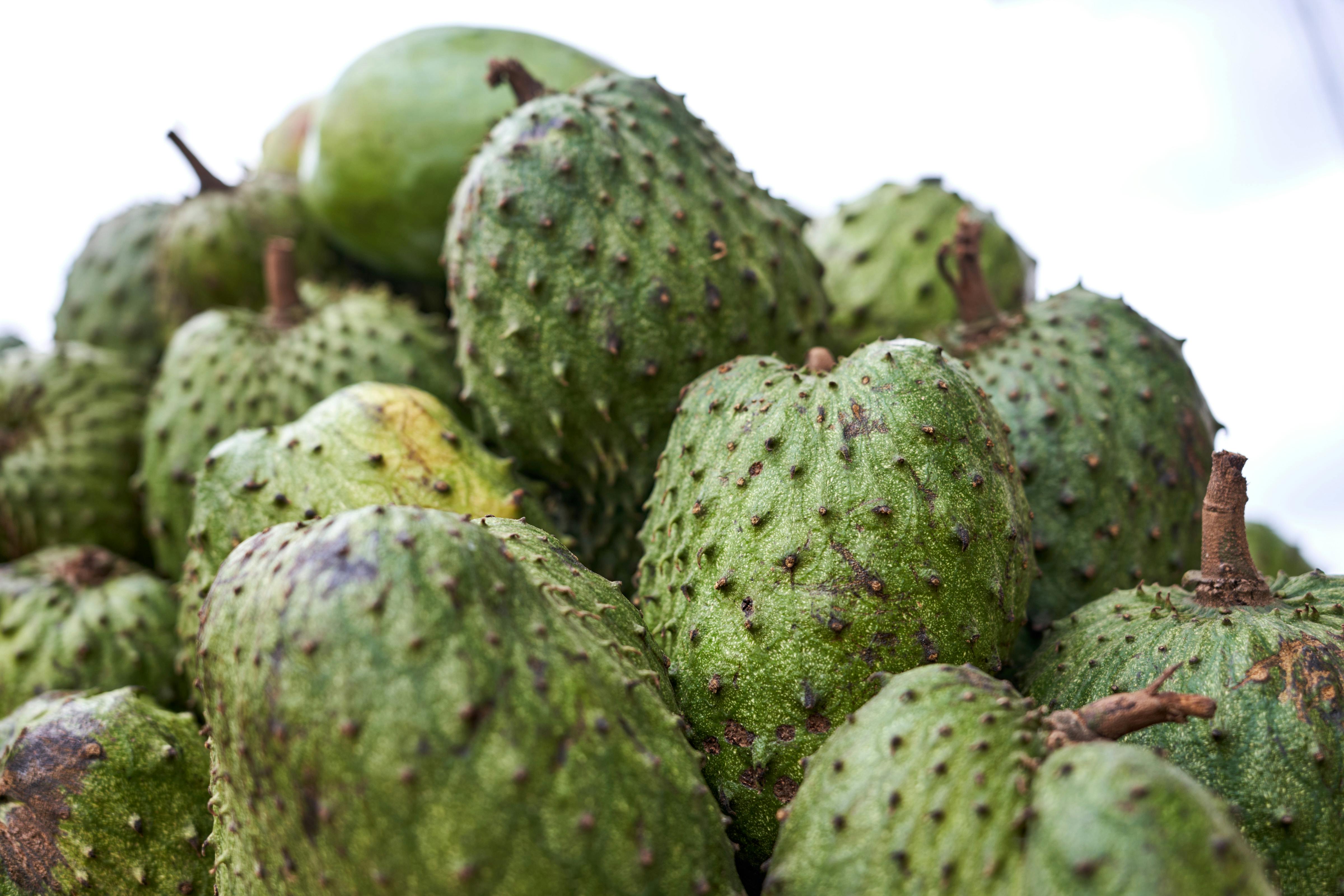 9 benefits of Soursop for your health