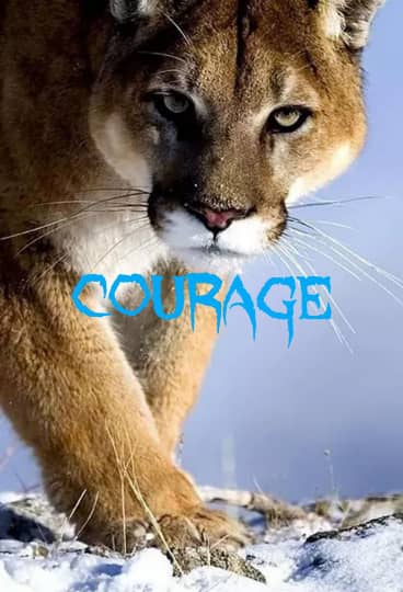 COURAGE 