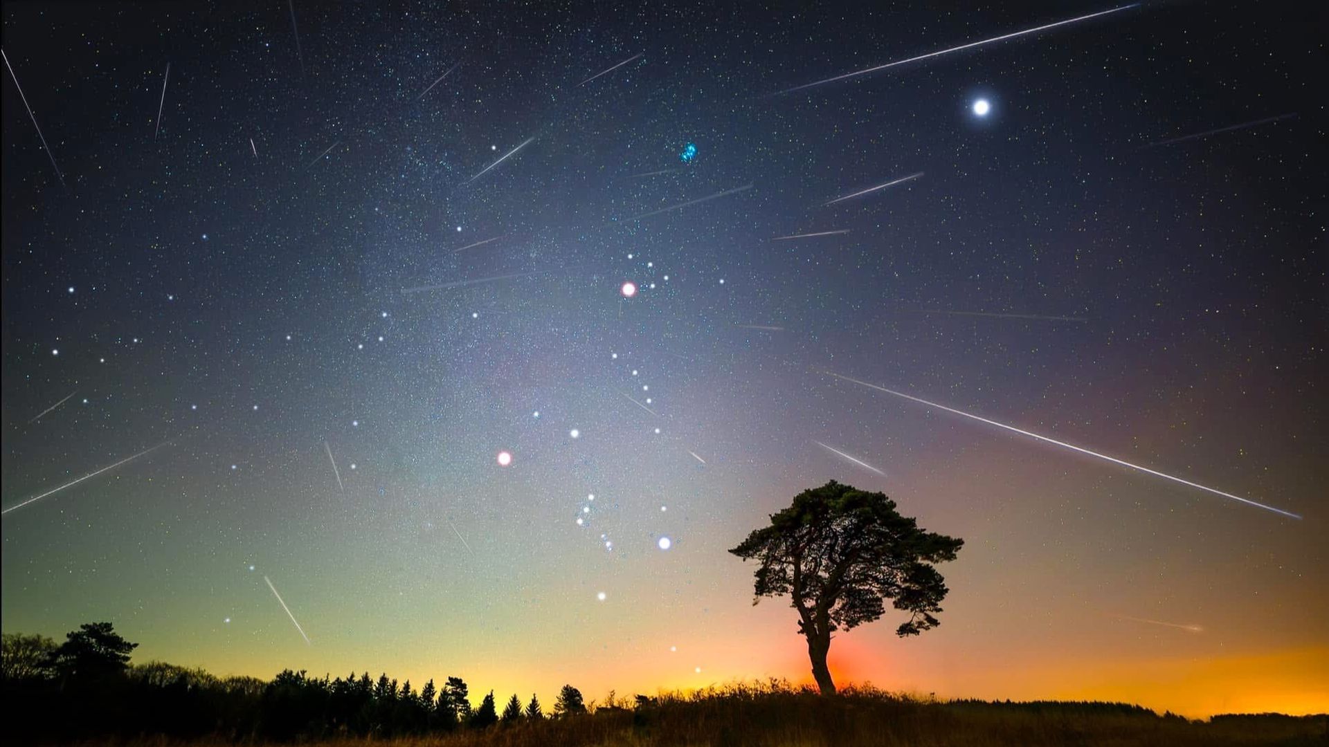 'Spectacular' meteor shower to light up sky - here's how to watch it