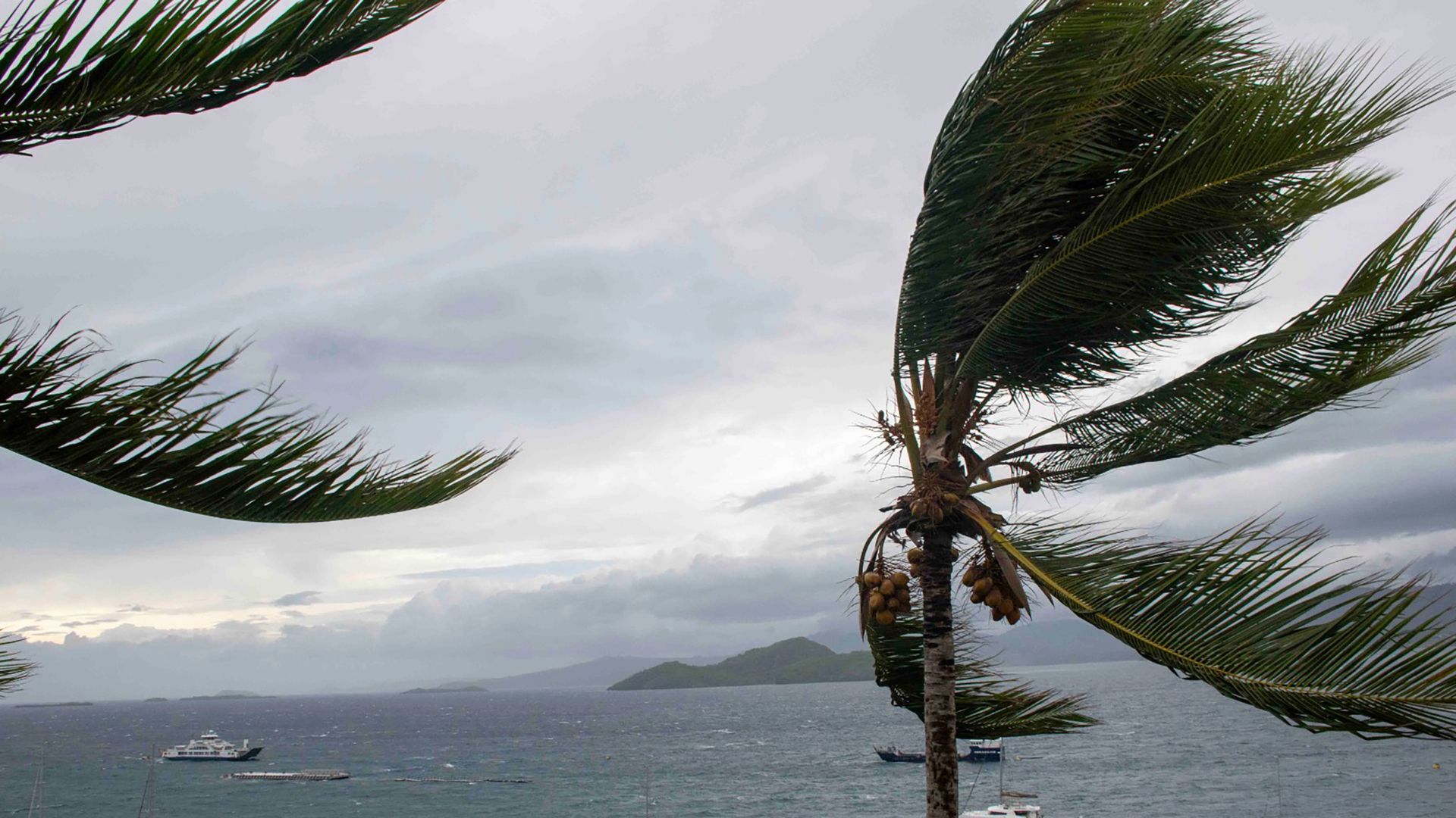 Cyclone Chido: What we know about strongest storm to hit the French island in over 90 years