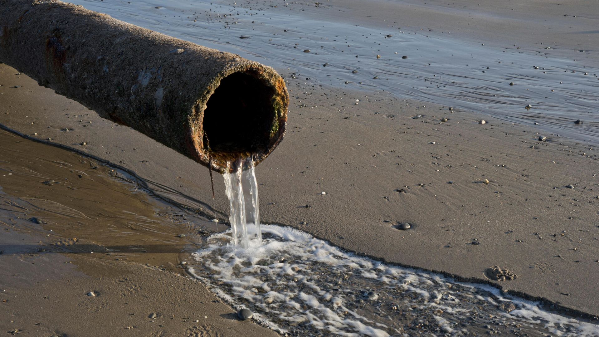 Government and water regulator broke law on sewage - watchdog