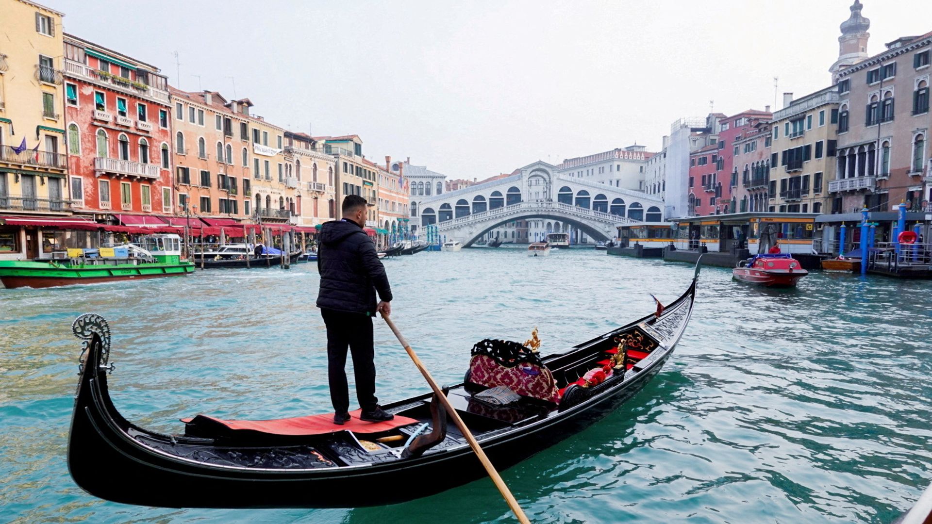 New island emerges in Venice