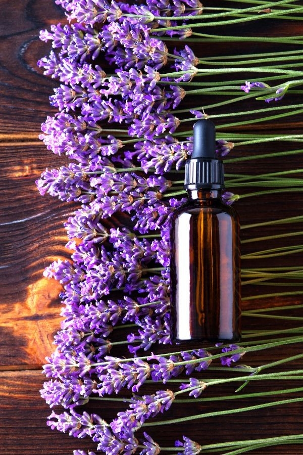 Lavender's Effect: Calm your mind and heal your body **Day 8**