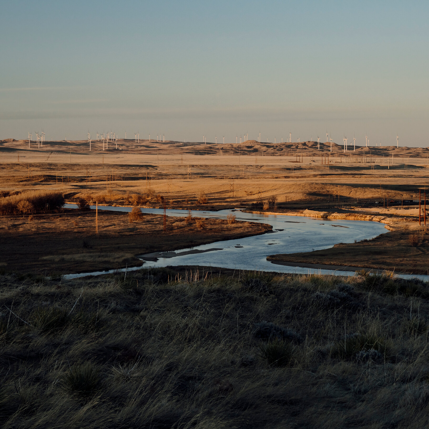 How the Freedom Caucus Rose to Power in Wyoming