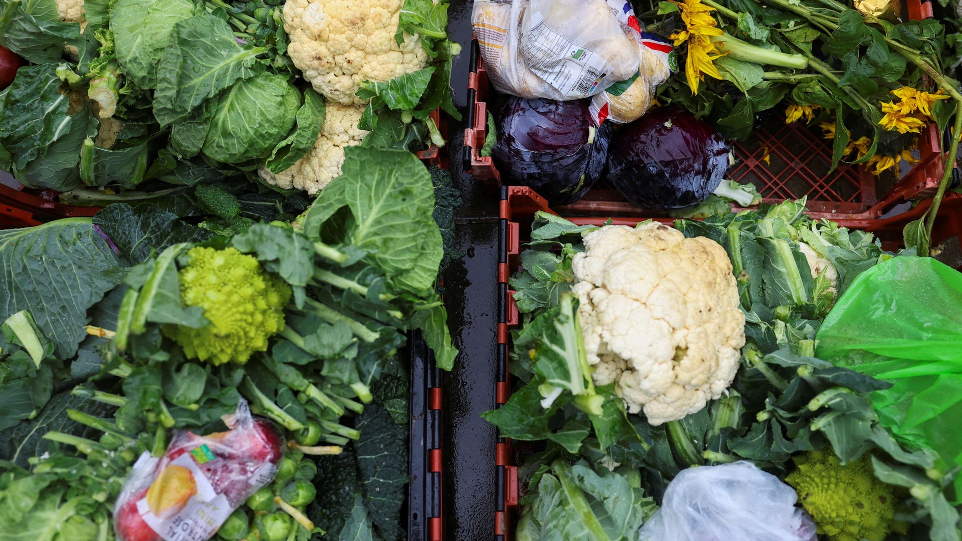 Surplus farm food to go to food banks and homeless shelters with new fund