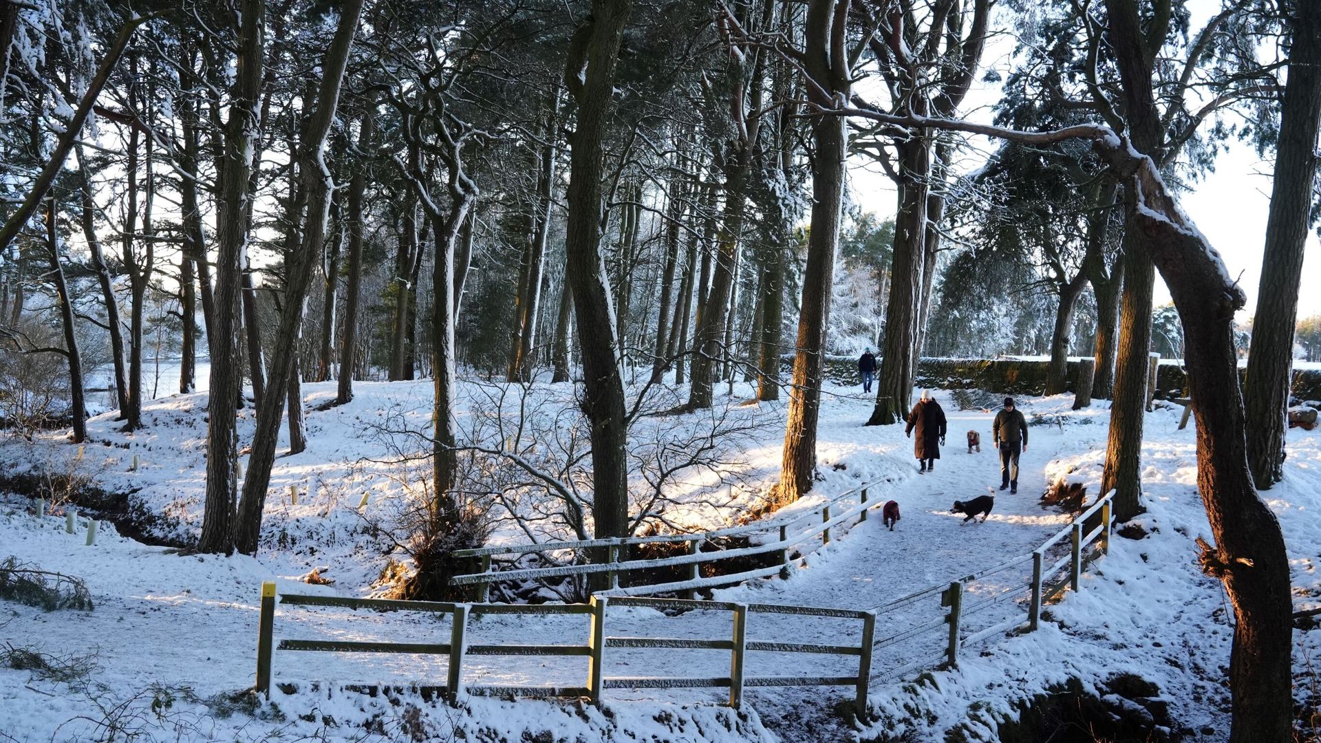 Warnings for snow and freezing rain across the UK over the weekend