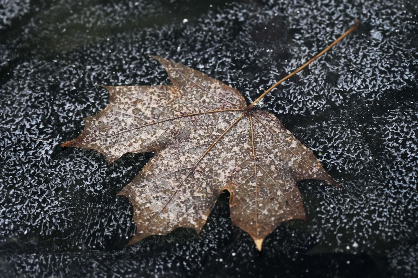 What to know as snow, freezing rain and bitter cold heads through much of the U.S.