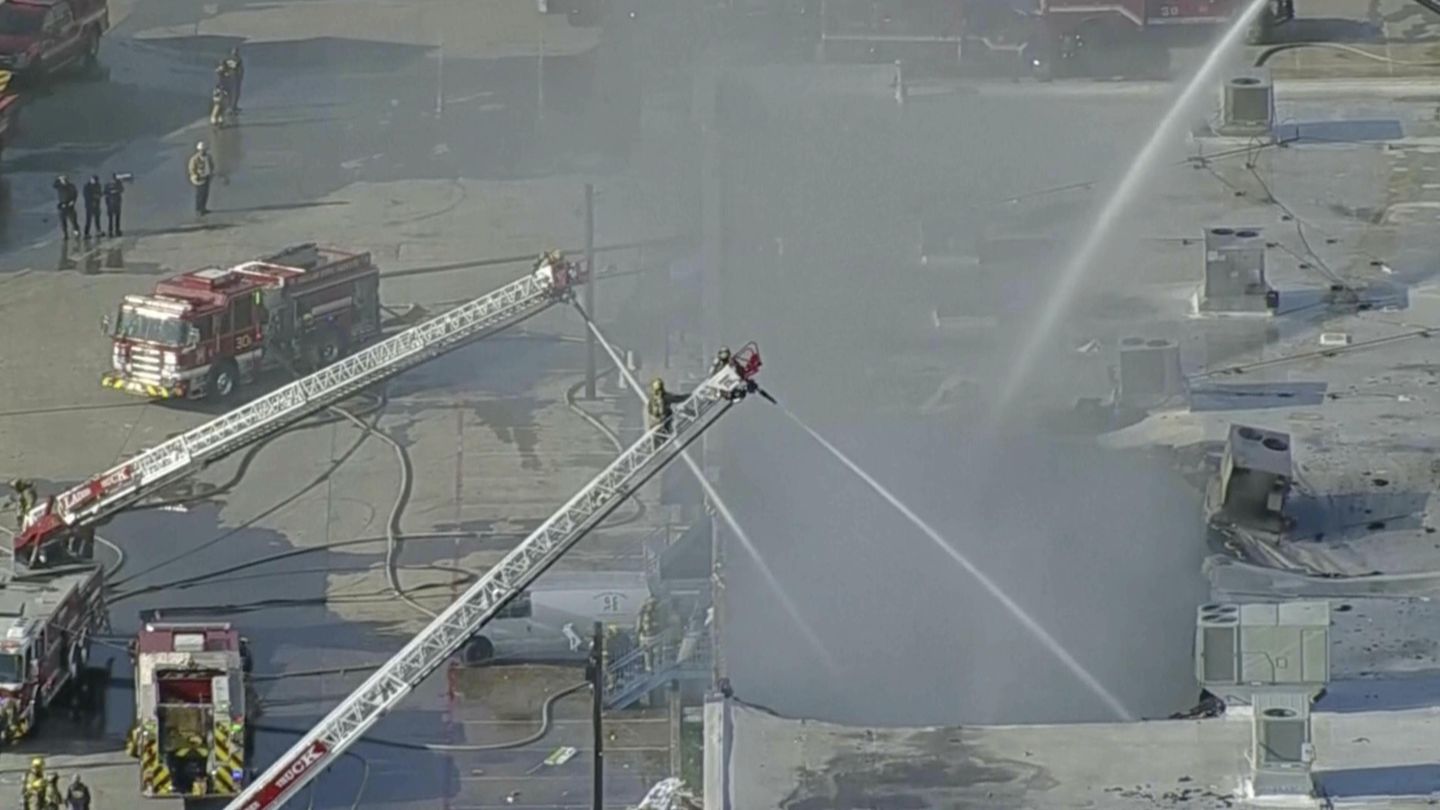 Smoke from building fire at Dallas shopping center kills 579 animals in pet store