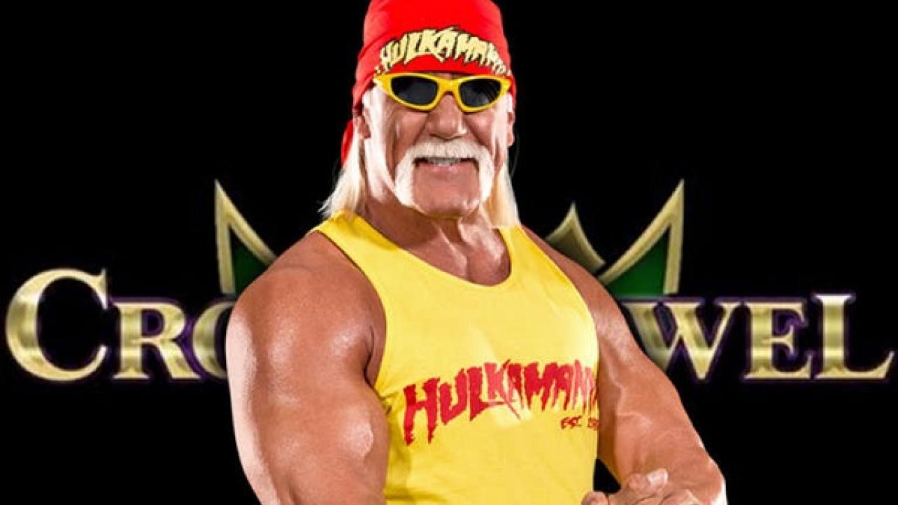 Hulk Hogan booed out of  WWE over racist remarks