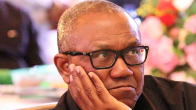 APC needs Peter Obi 'alive and well' - Tinubu's aide