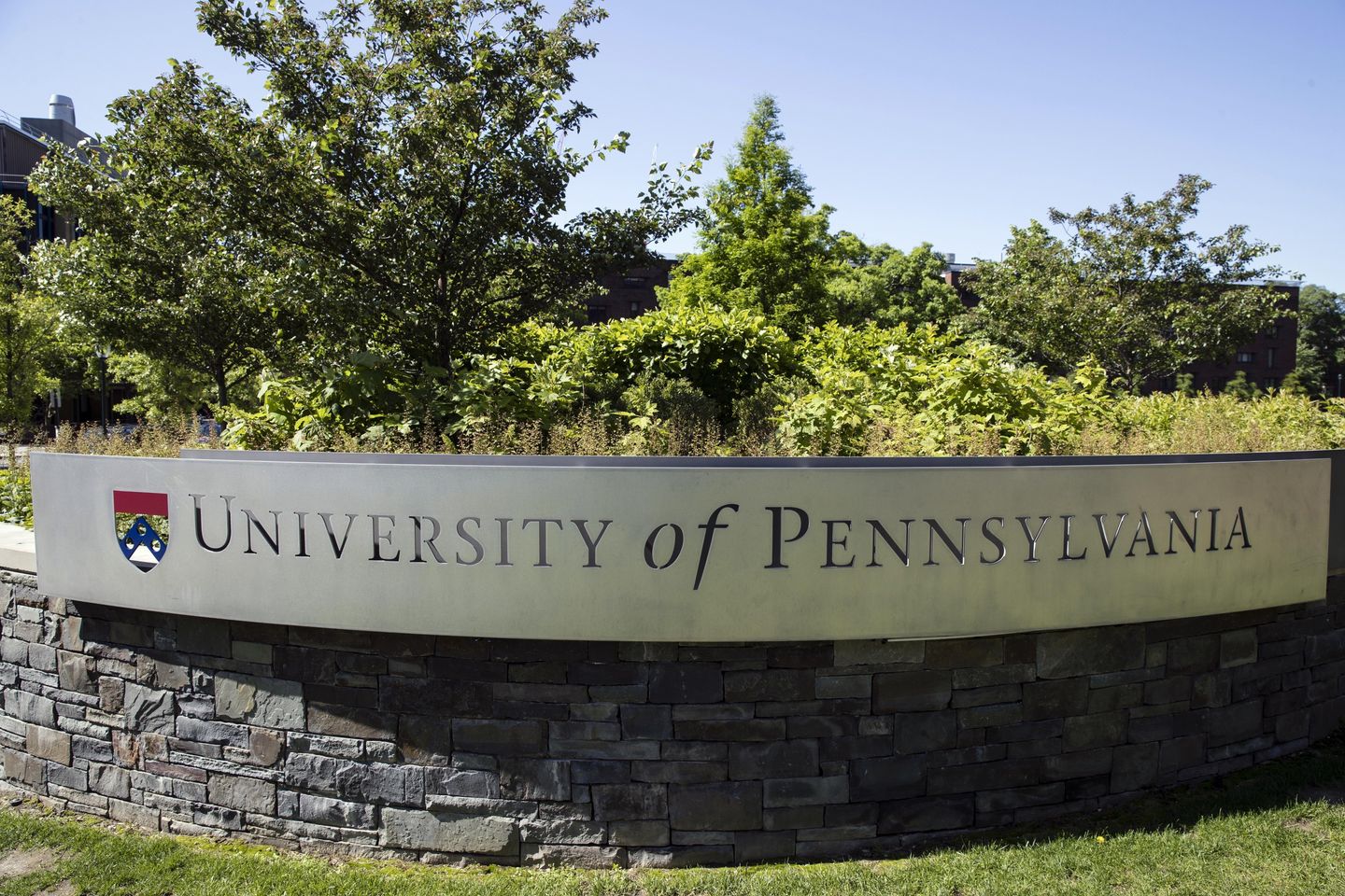 White tenured professor sues Penn over 'racist double standards' in suspension