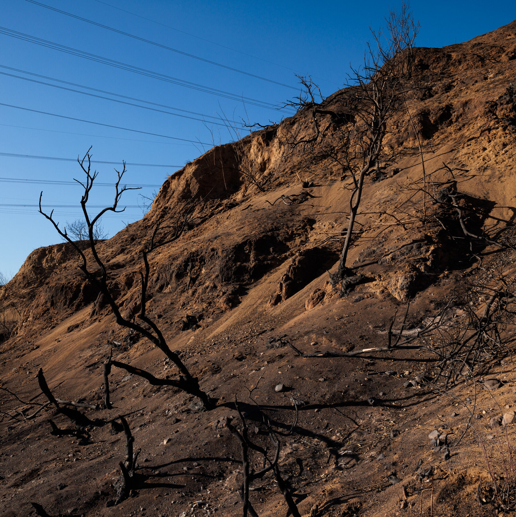 Man Is Arrested in Connection With Little Mountain Fire