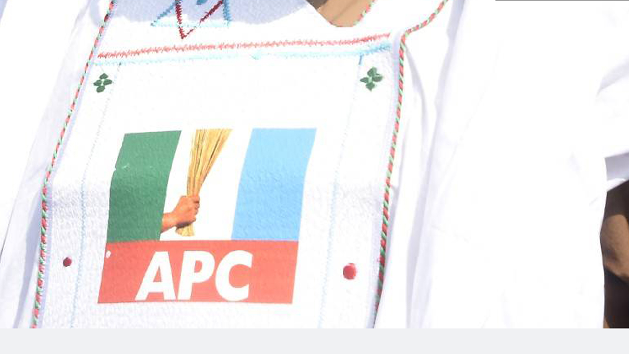 APC clears 16 LGAs in Ondo as ODIEC cancels results from two councils