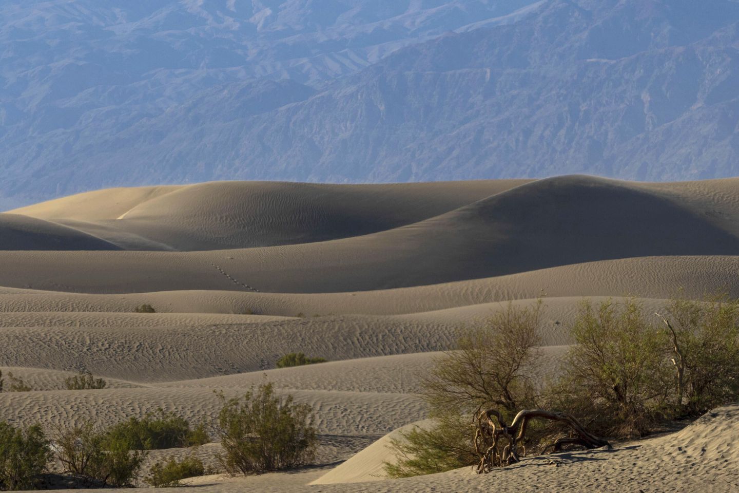 Death Valley National Park personnel rescue Belgian national from steep gully