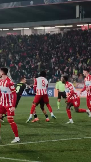  Ryan Flamingo
cc: psv
#sports