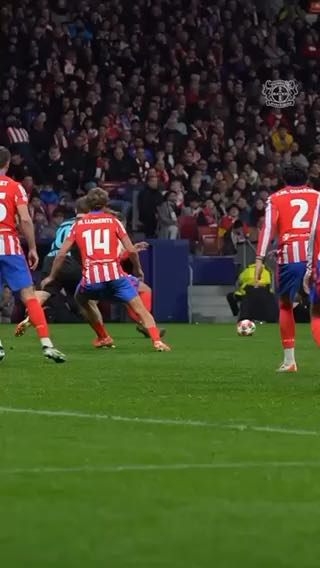  First Champions League goal headed in!
cc: