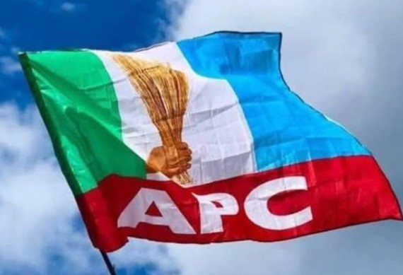 APC council chairmen deny maligning former Enugu speaker