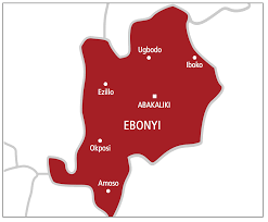 10 dead as gunmen attack Ebonyi community  Police