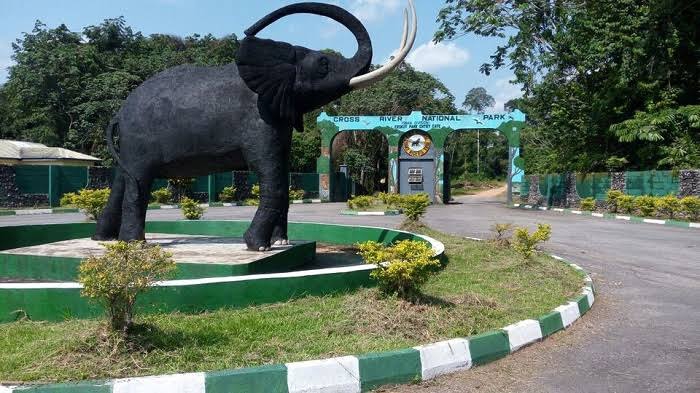 Explore the beauty of Cross River National Park, a mix of rare wildlife, breathtaking landscapes.