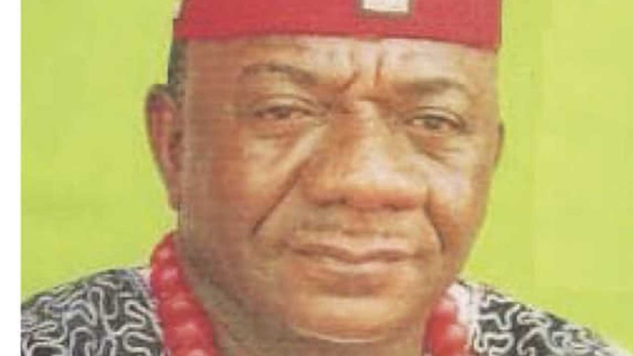 Those disputing their Igbo identity are being deceived  Eze