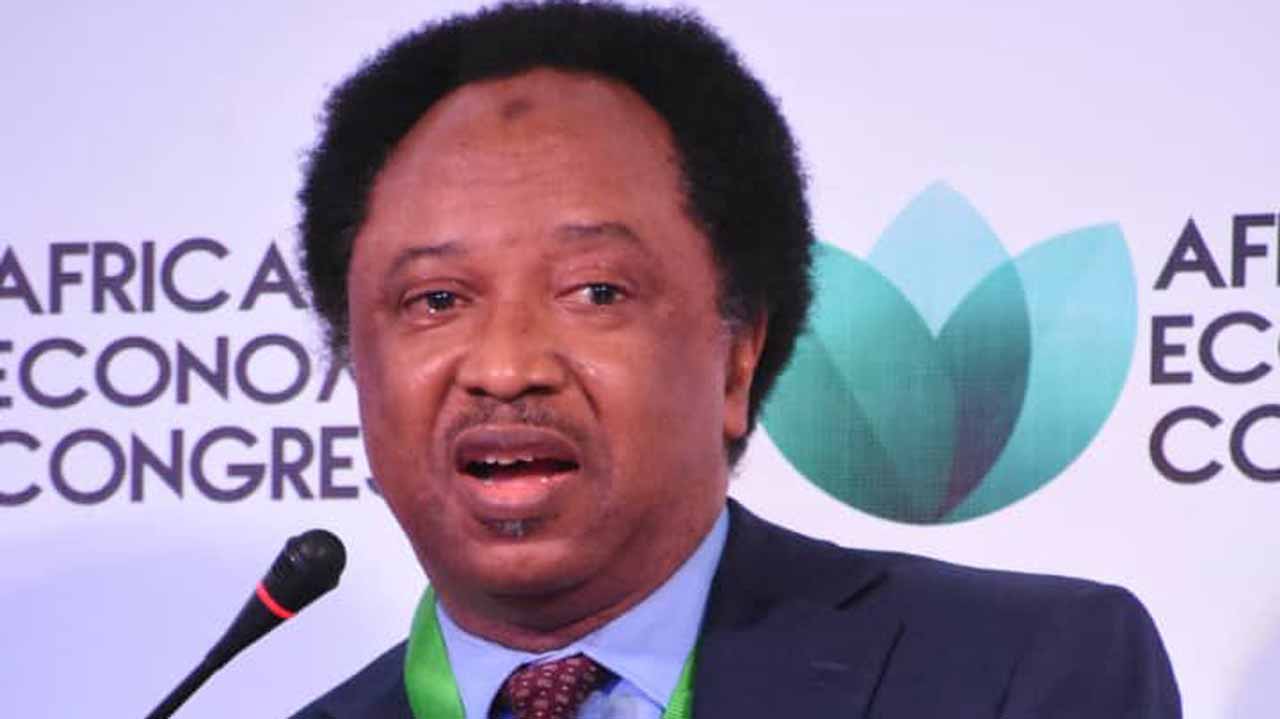 Shehu Sani returns to APC as Kaduna governor promises fairness