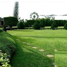 The Beautiful Green Spaces of Jhalobia Park Lagos