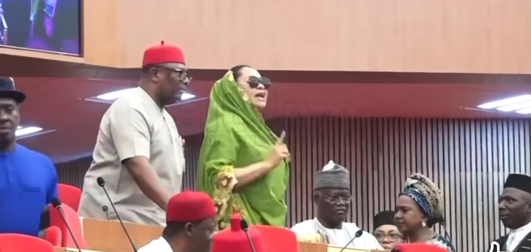 Rowdy Senate as member protests seat reassignment