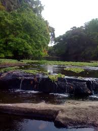 Explore the Old Oyo National Park, Oyo State Nigeria