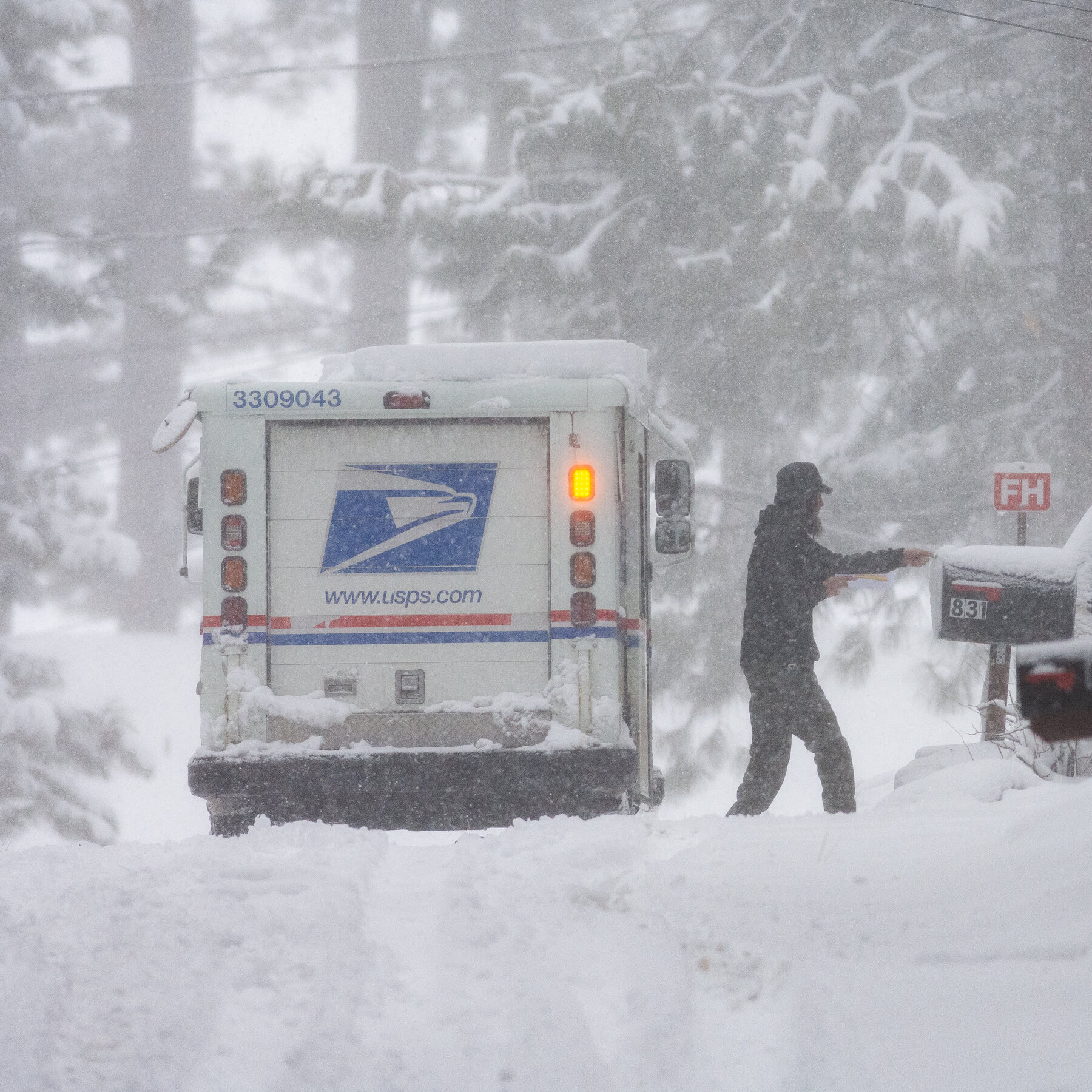 Trump Suggests Taking Control of the USPS