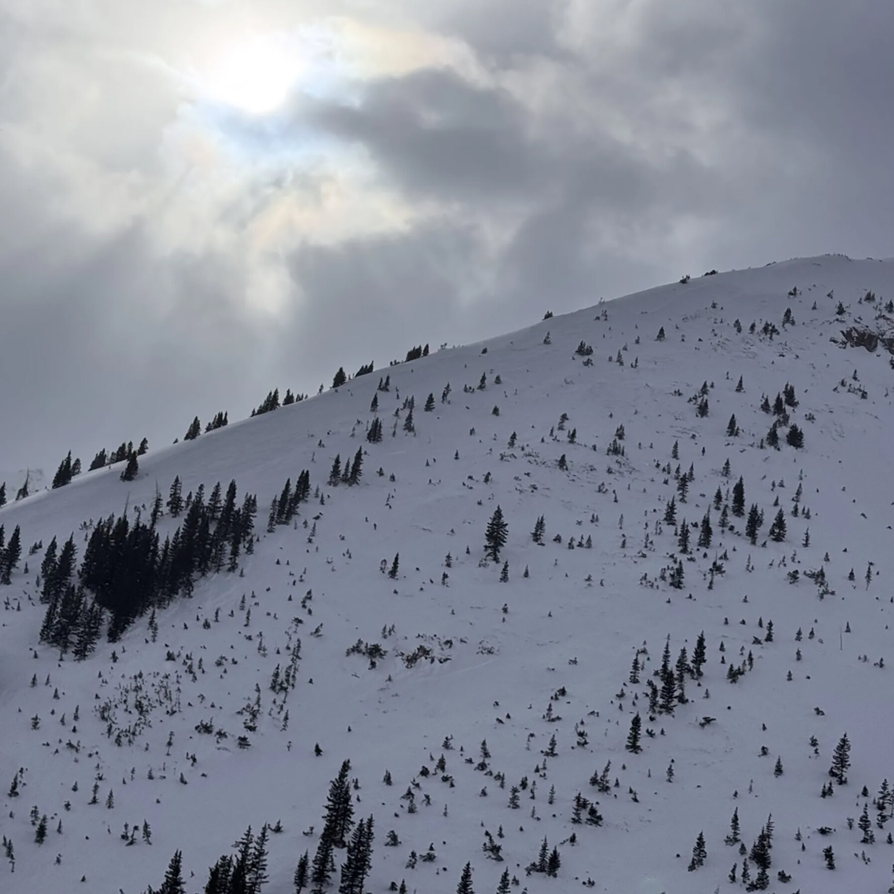 Colorado Snowboarder Becomes Fourth Avalanche Victim in a Week