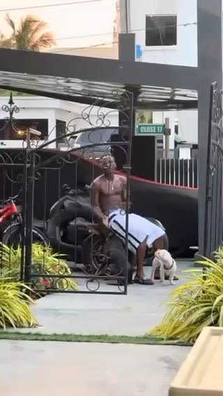  Fireboy spending quality with his dogs
cc: