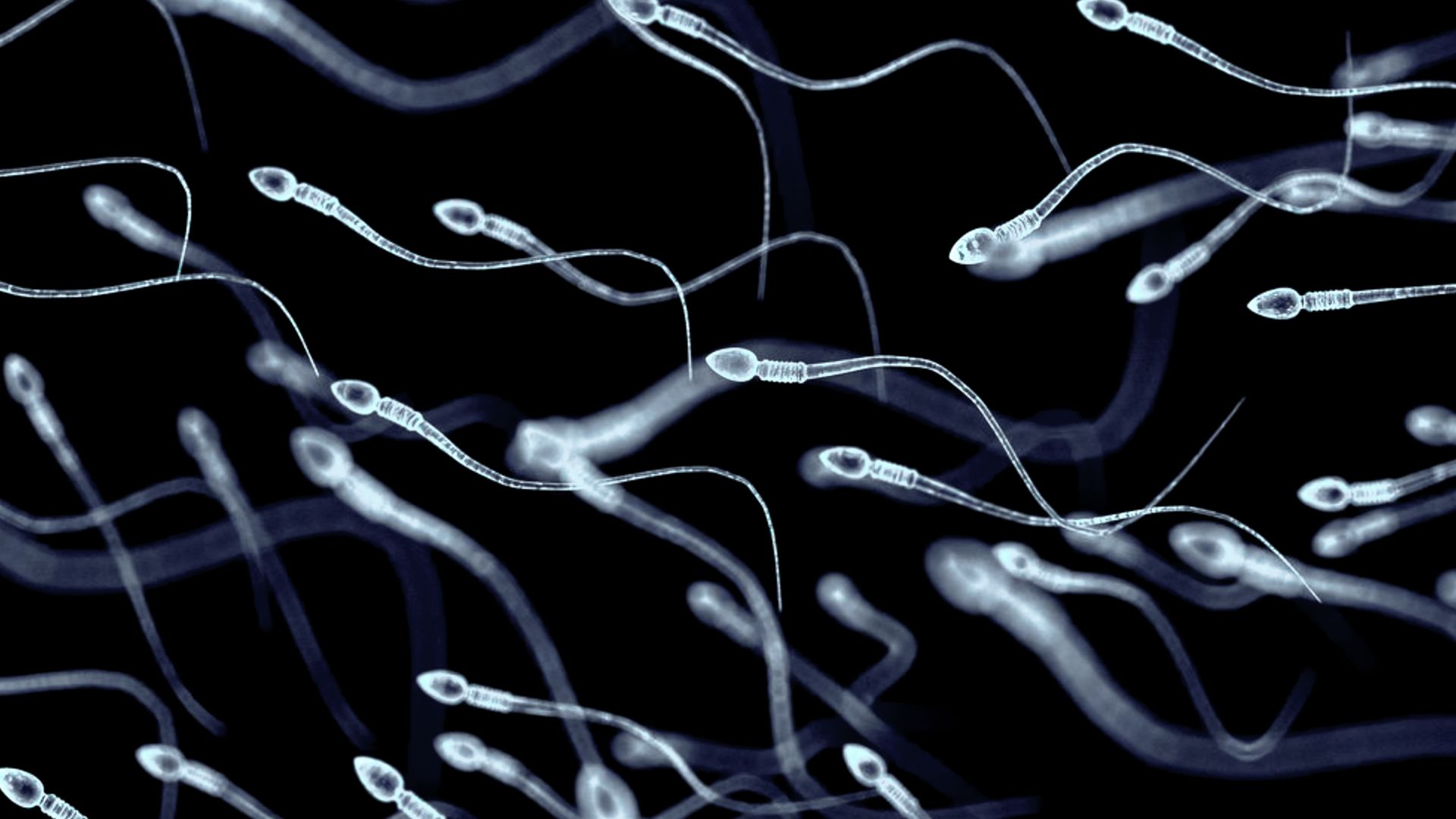 Men with healthier sperm live longer, study suggests