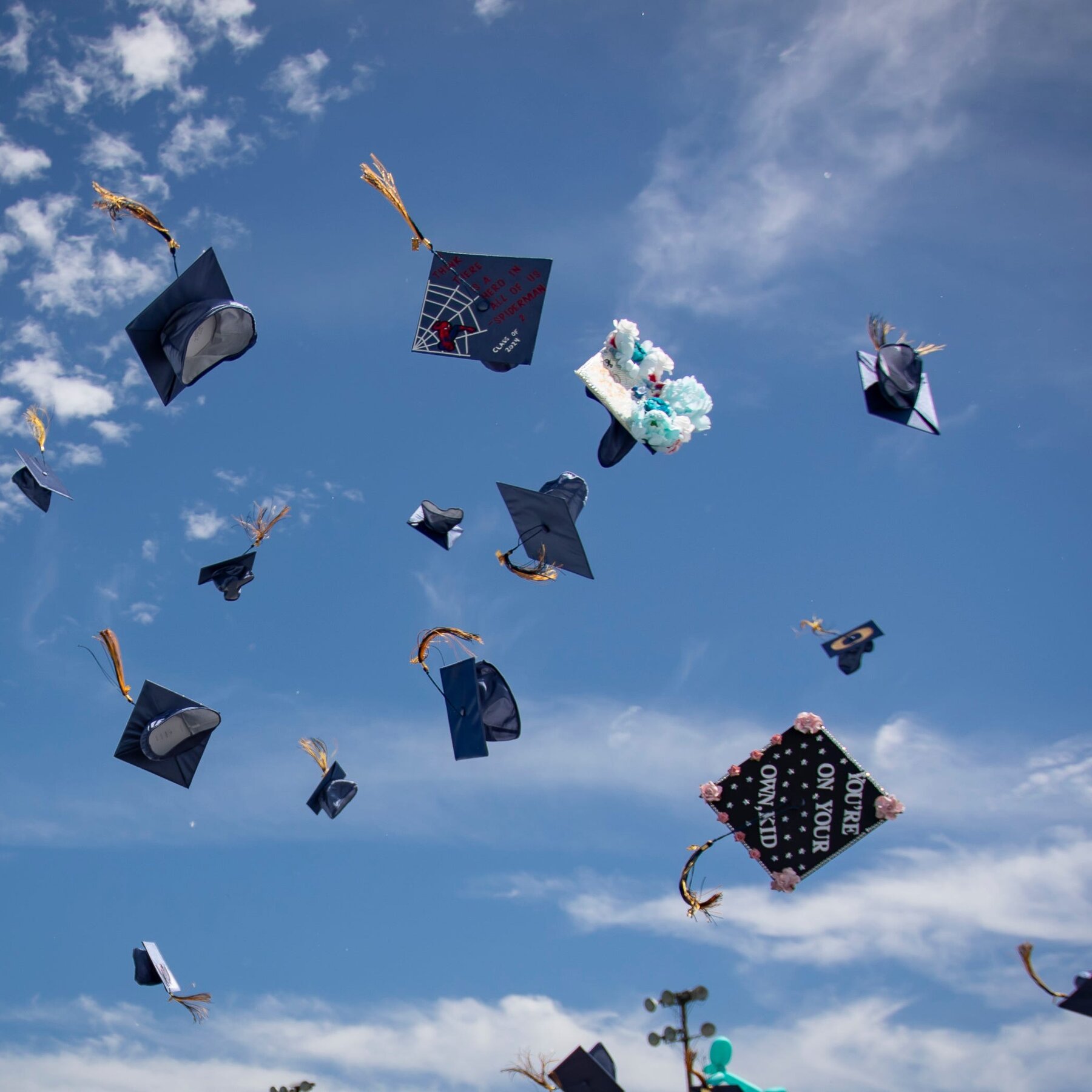 What Are Your Plans After Graduation?