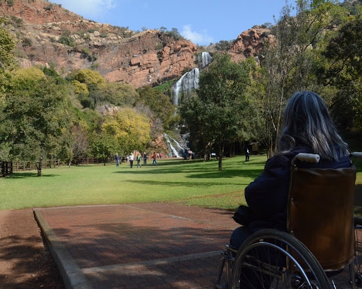 Walter Sisulu National Botanical Garden – Where Nature Meets Tranquility