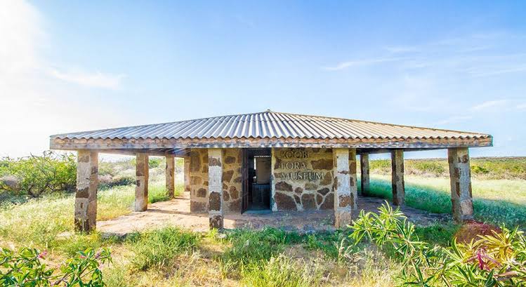 Koobi Fora Museum – The Heart of Early Human Discovery