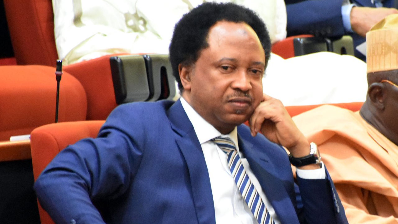 Insecurity: Sani slams Northern leaders for failing to speak up under Buhari