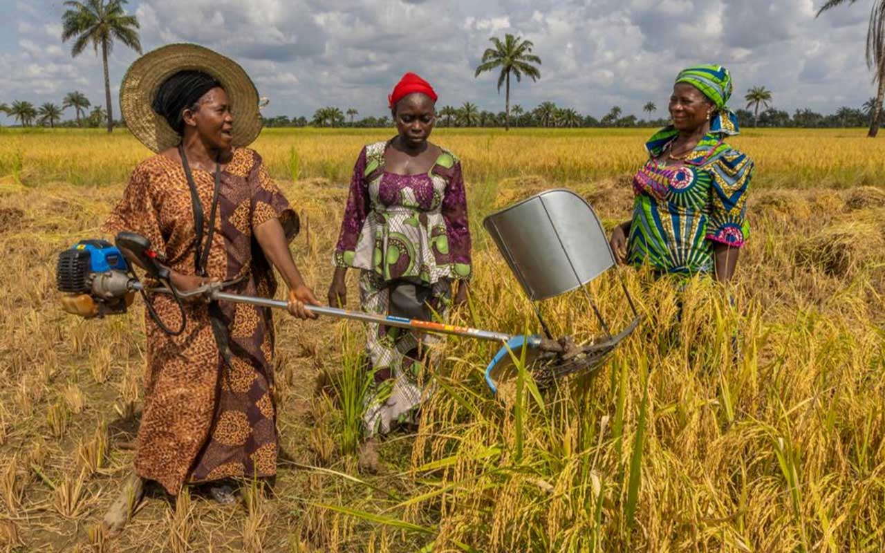 NWAPDI pledges  women, youth inclusion in agriculture