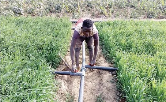 Institute unveils farmer-led irrigation programme in Nigeria